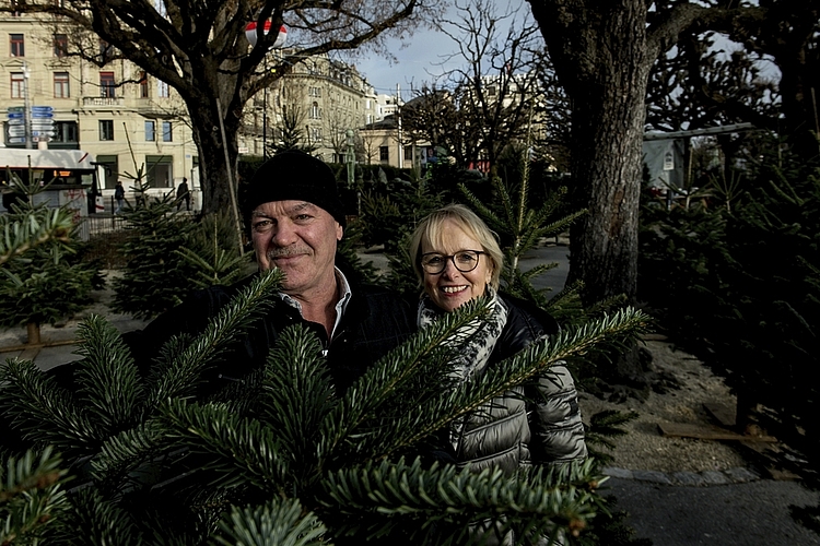 Für Turi und Rita Fischer ist es Tradition, am Schweizerhofquai einen Baum zu kaufen und diesen anschliessend nach Hause zu tragen.
