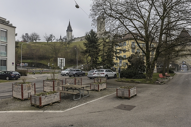 Beim Geissmattpark ist es eine Herausforderung, allen Ansprüchen gerecht zu werden.
