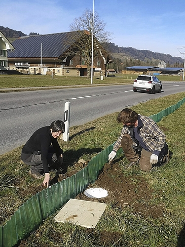 Der temporäre Zaun entlang der Strasse in Schüpfheim ist eine Schatzmassnahme für die Amphibien. Bild: Klaus Schmid