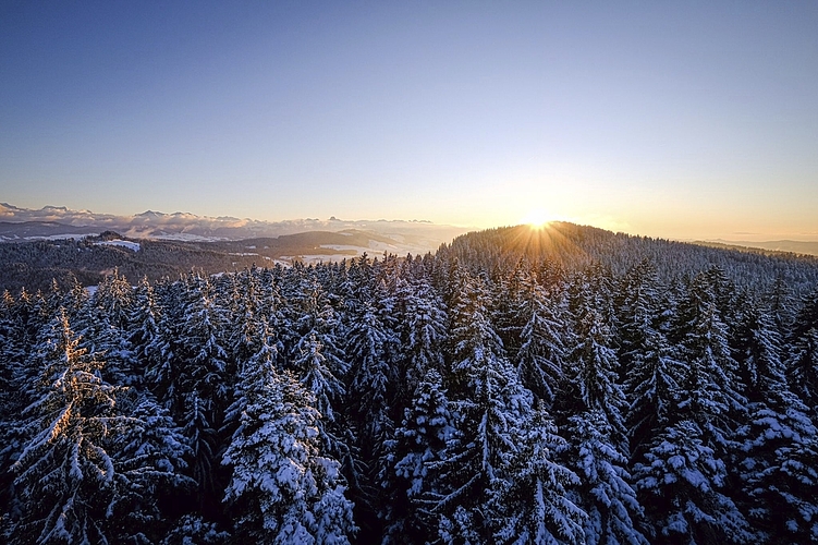 Mit dem Foto vom Aussichtsturm Chuderhüsi im Emmental schaffte es Hanna Bühler auf den zweiten Rang. Bild: Hanna Bühler
