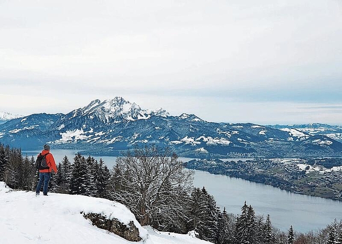 Rang 5: Jelena Costa erreichte mit dem Bild von der Seebodenalp 26 Punkte. Bild: Jelena Costa