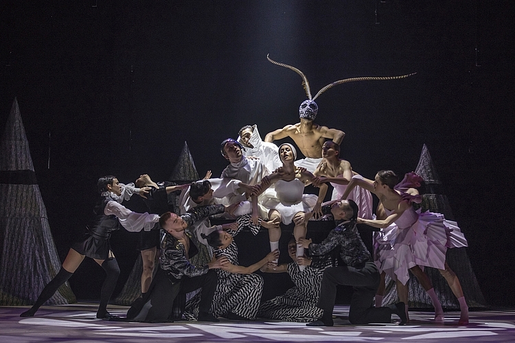 «Tanz 35: Alice» ist eine sehr freie, tänzerische Interpretation von Lewis Carolls Kinderbuchgeschichte «Alice im Wunderland». Po-Cheng Tsai bedient sich in seiner Choreografie aus einem Mix aus Contemporary Dance und asiatischen Kampfsport-Anleihen. Beide Welten prägen auch die eindrückliche, optische Inszenierung. Bild: Gregory Batardon
