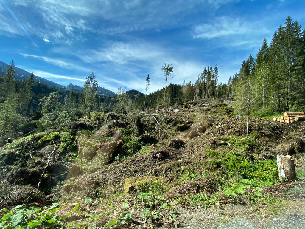 Der Guggiföhn hat in der Gemeinde Escholzmatt-Marbach grosse Waldschäden verursacht.
