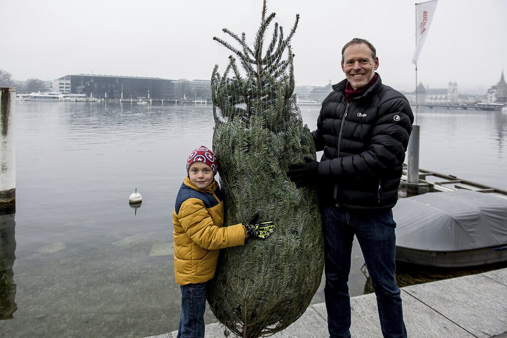 «Die Grösse stimmt und der Baum hat viele Äste für die Kugeln», erklärt Niels seinem Vater Daniel Schmid.