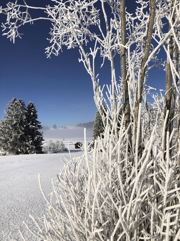 Werner Isenschmid war in Rothenthurm unterwegs – Rang vier. Bild: Werner Isenschmid
