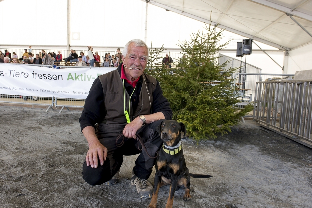 Vorführung mit Jagdhunden in der Luga-Arena, kommentiert von Josef Sticher. Bild: Bruno Gisi
