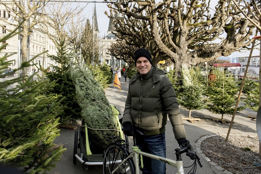 Pascal Tresch hat mit der Familie den Baum ausgesucht. Der Papi durfte den Baum nach Haus transportieren.
