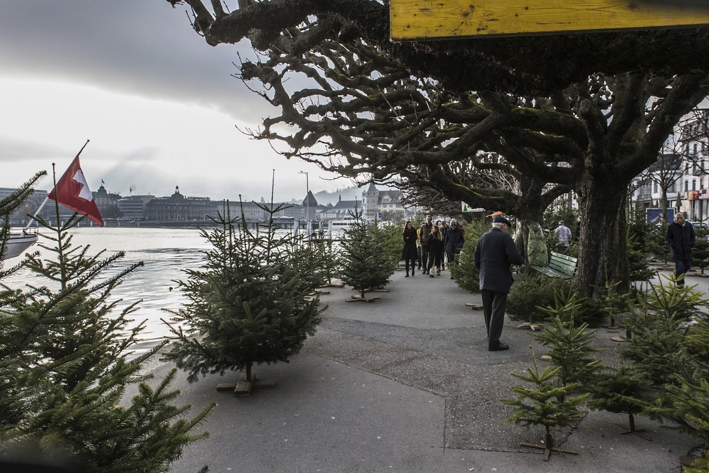 Hunderte von Christbäumen stehen am Schweizerhofquai in Luzern bereit. Der Christbaummarkt ist täglich bis am Donnerstag, 23. Dezember 2021, jeweils bis 19 Uhr geöffnet.